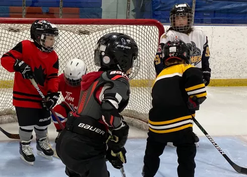 Skating Hockey