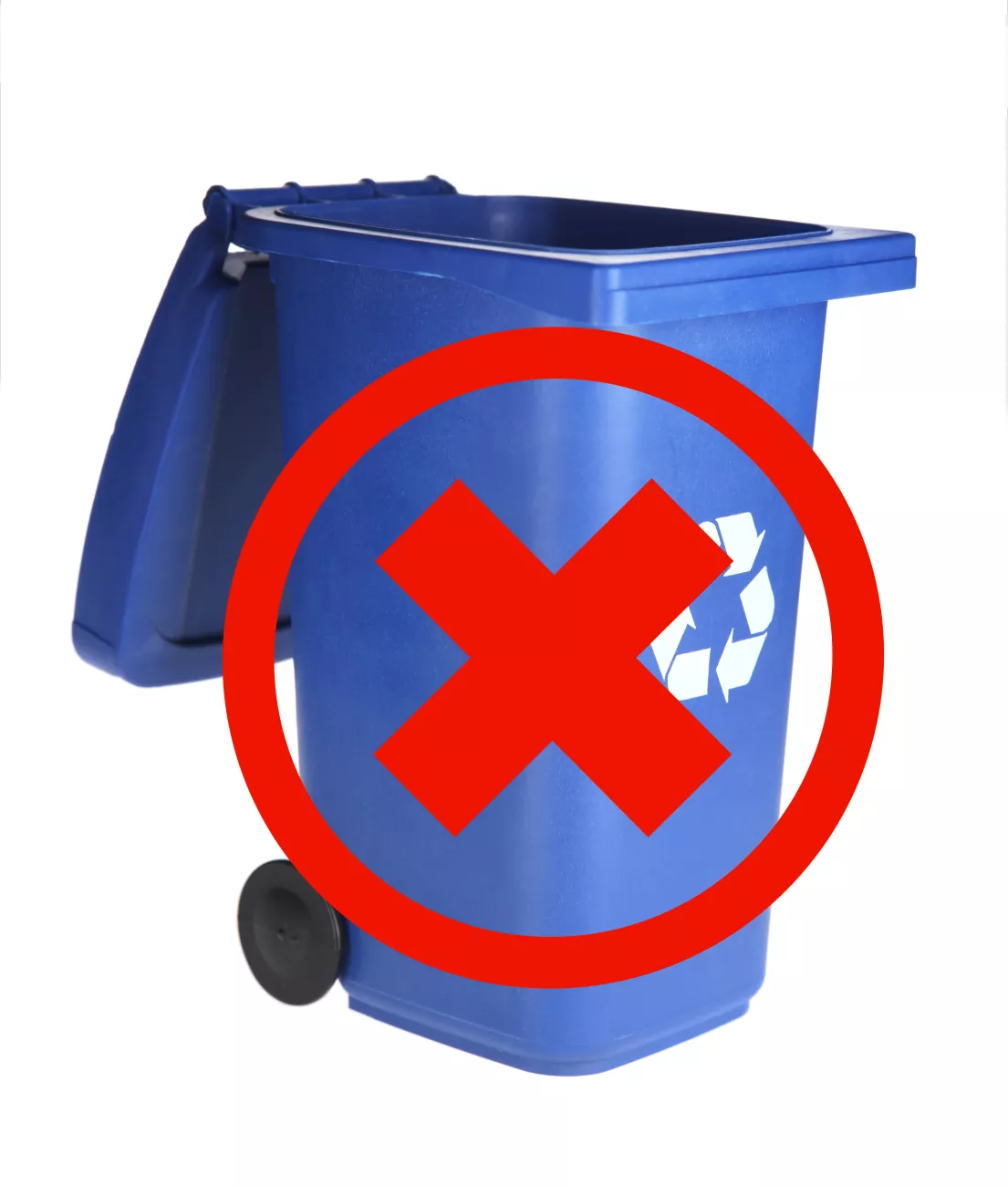 Are Blue Recycle Bags Costing You More In The Budget Than The Blue Bin? -  Canadian Budget Binder