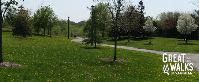 Mackenzie Glen neighbourhood walk.