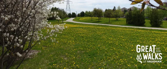 Sonoma Heights Neighbourhood Walk