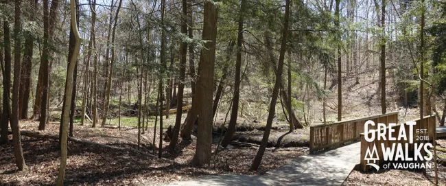 Maple nature reserve trail.