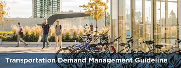 Transport Demand Management Guideline