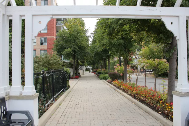 urban walkway with trees and benches to the side