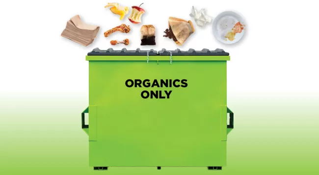 a green bin with organic items