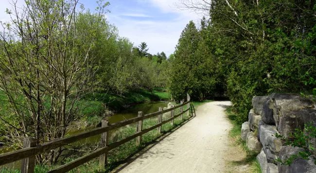 Image of a trail with trees