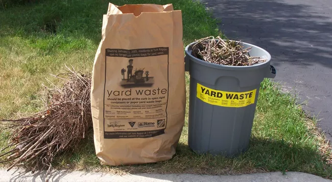 leaf and yard waste bag and bin curbside