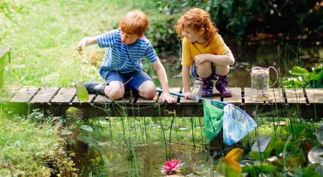 Two kids playing in a creek on a wooden bridge