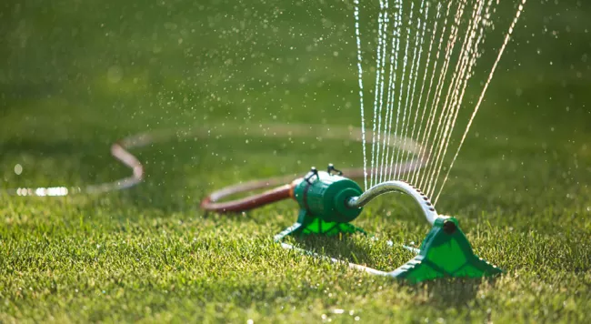 a green sprinkler