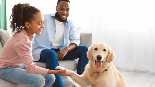 Couple with their dog inside.