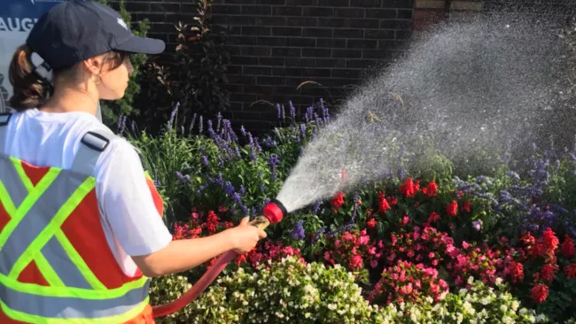 City worker watering flowers