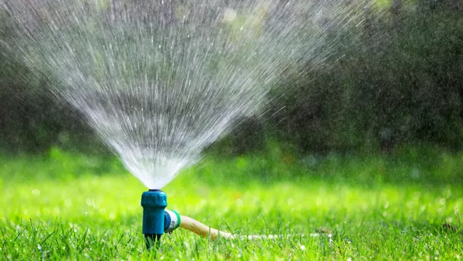 a sprinkler