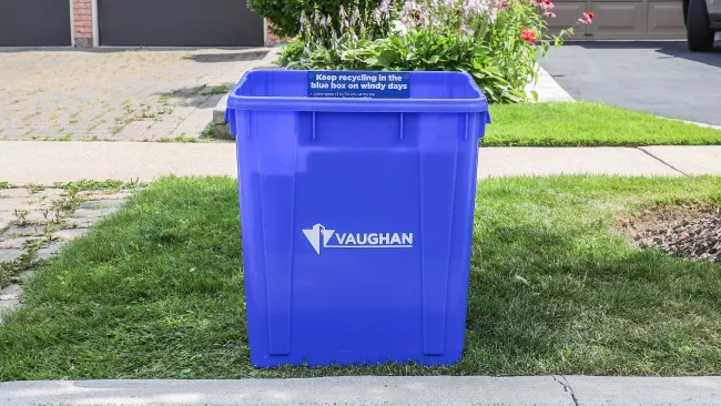 a blue box on the curb