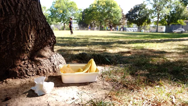 Left over food and garbage in a park