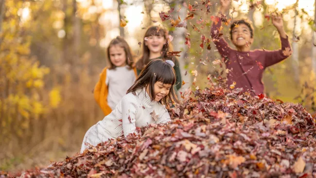 children playing in leaves