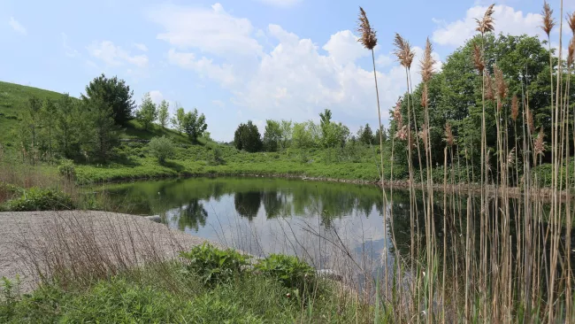 a stormwater pond