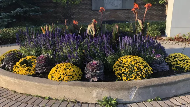 Flowers and greenery