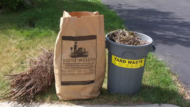 leaf and yard waste bags at the curb