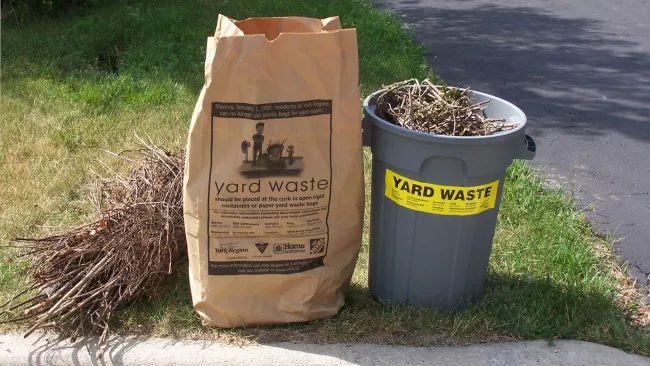 leaf and yard waste bag and bin