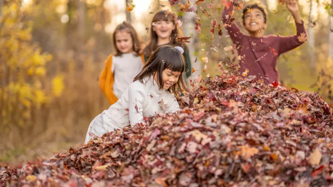 Kids playing outside in a pile of leaves