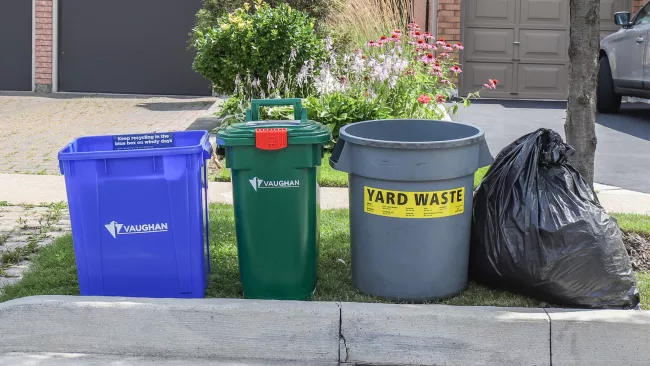 bins and bags at the curb