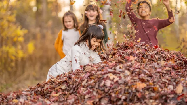 Kids playing outside in a pile of leaves