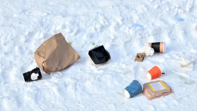 Litter in snow