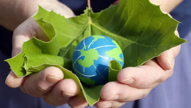 Person holding a leaf with the globe in the middle 