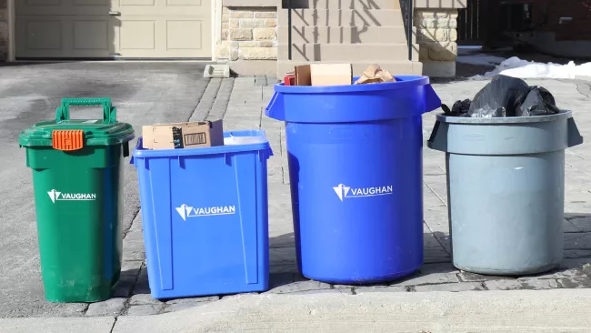 waste bins at the curb