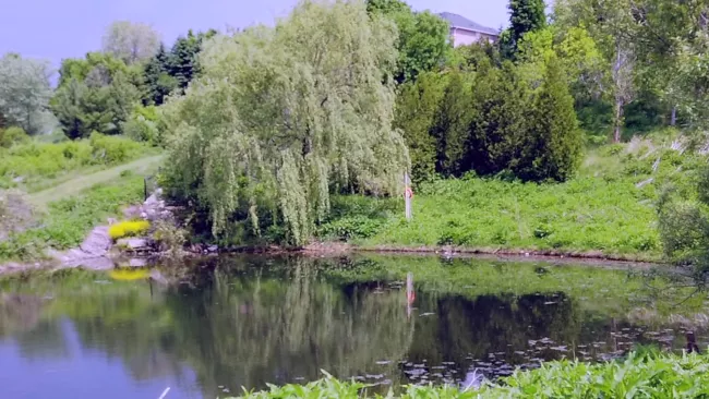 a stormwater pond