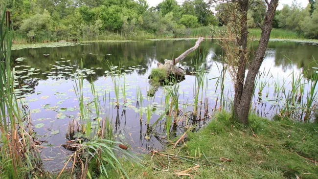 a stormwater pond