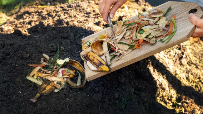 someone scraping food scraps into a compost bin