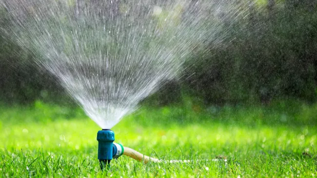 a sprinkler on lawn