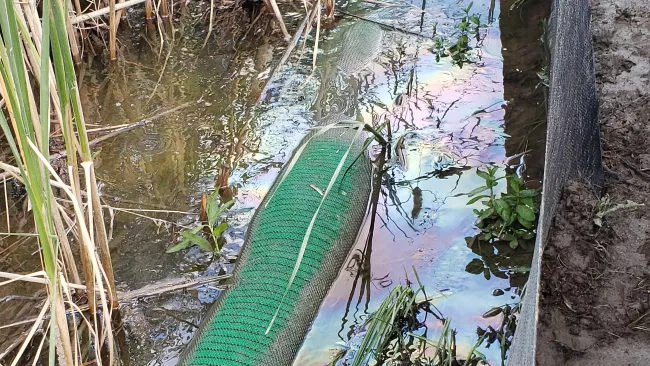 spilled substance in a waterway