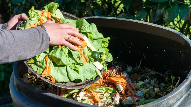 someone putting food scraps in a composter