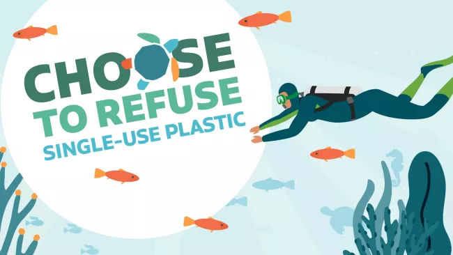 a graphic image of a scuba diver, fish and "choose to refuse single-use plastic" in block letters