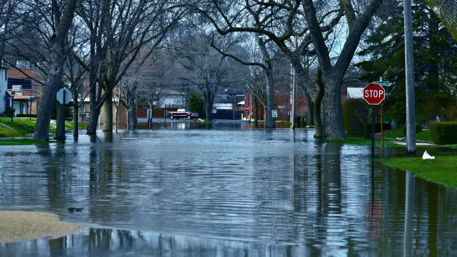 a residential street with flooding