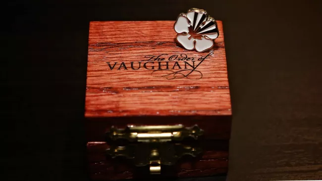 Order of Vaughan pin