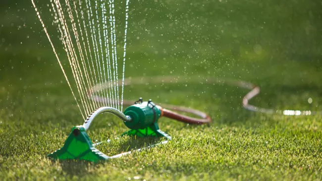 a sprinkler on lawn