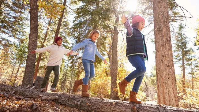 Explore Vaughan’s great outdoors this fall