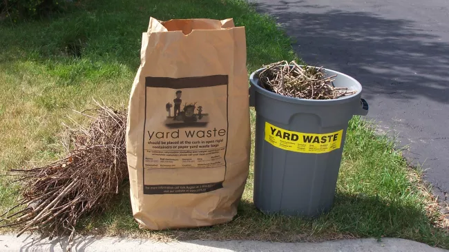 leaf and yard waste bags at the curb