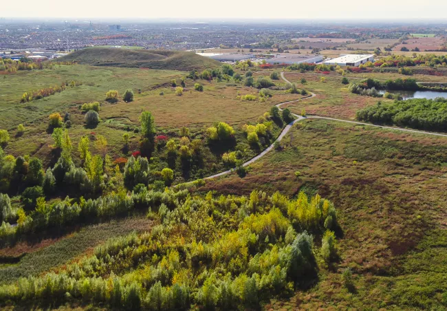 A landscape with a road and trees