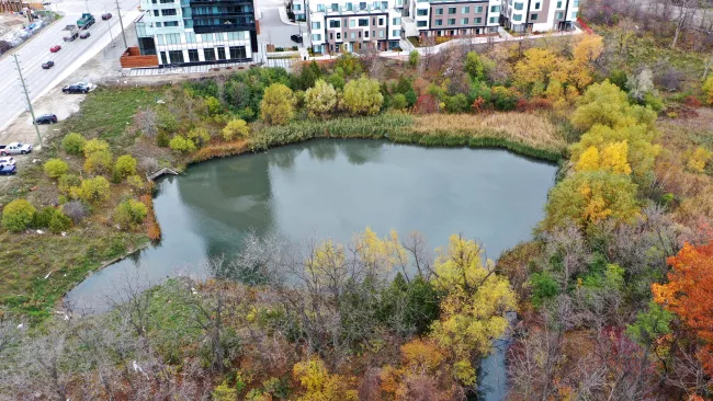 a stormwater pond in vaughan