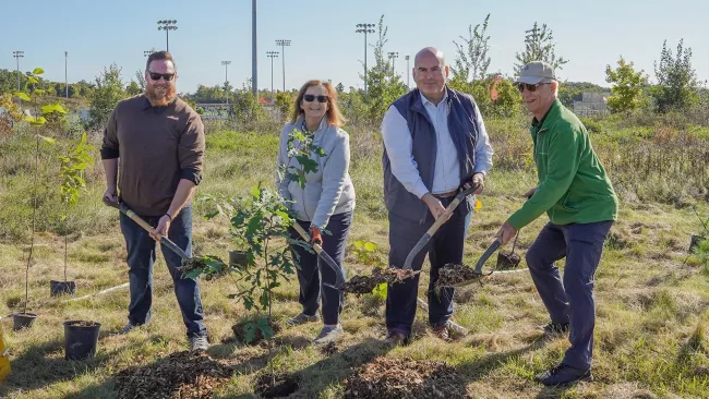 City tree planting