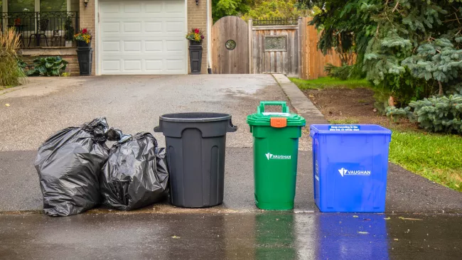 waste bags and bins at the bottom of a driveway