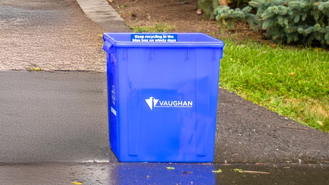 a blue box placed at the bottom of the driveway