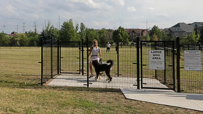 off leash dog area