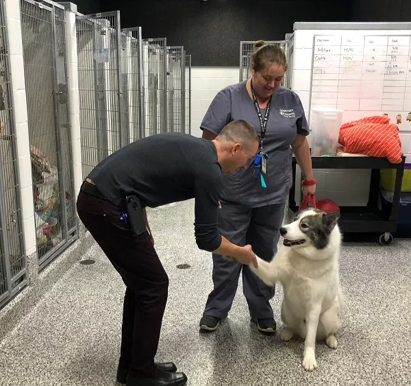 A person holding a dog's paw.