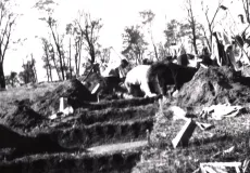 Archaeologists taking part in Excavation at the Mackenzie Site