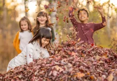 Child playing in the leaves