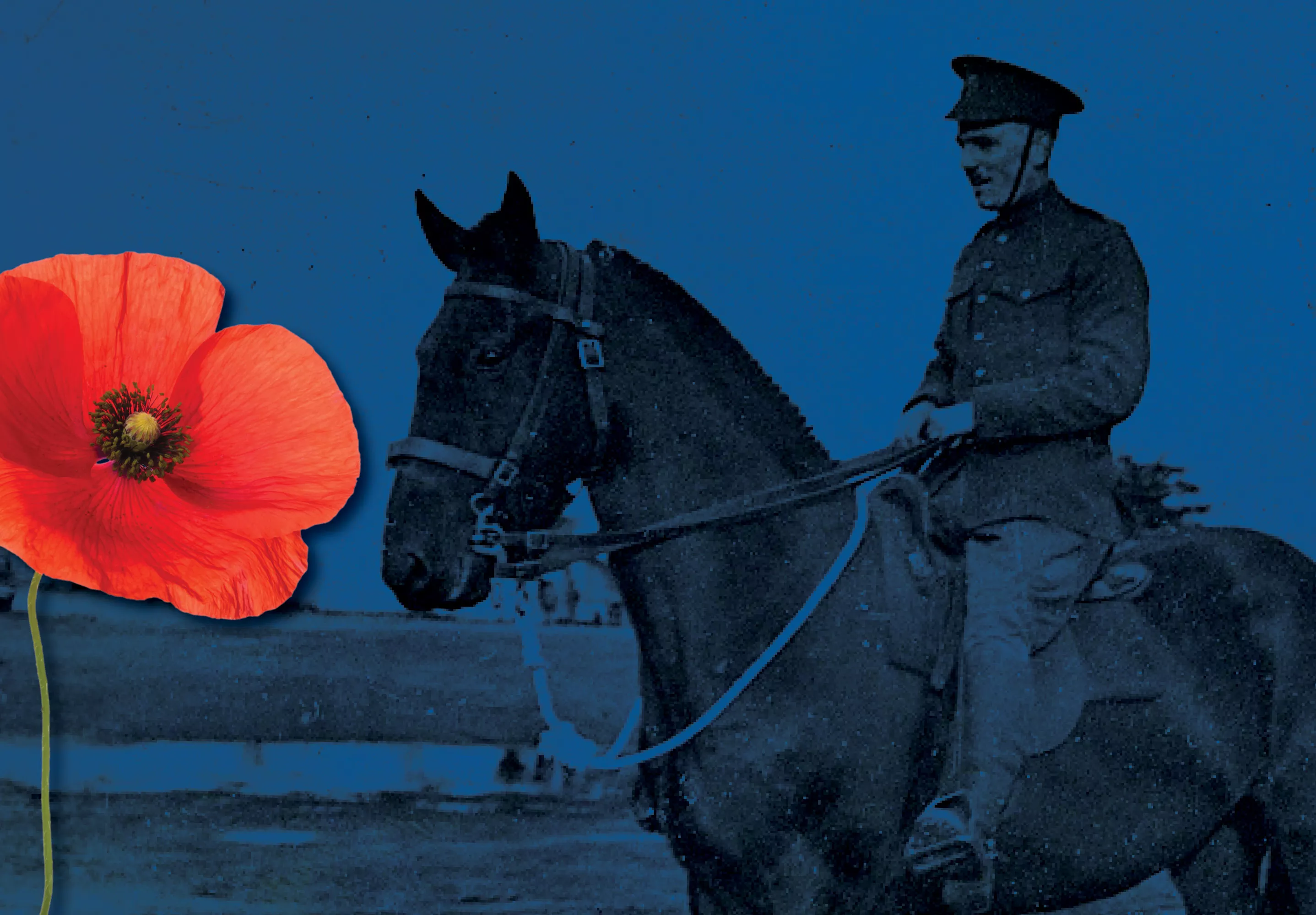 Old photograph of a solider on a horse. A graphic of a poppy placed over the photo.